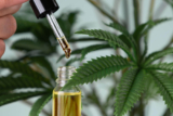 What Is Rick Simpson Oil? A Comprehensive Guide To RSO