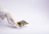 Canadian Cannabis Crisis: Mold and Mislabeling Trigger Nationwide Product Recalls