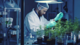 Is Cannabis Testing the Next Big Thing in the Global Market?
