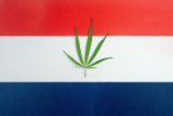 Ist Cannabis in den Niederlanden legal?