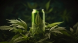Brewing a High-Stakes Future: Tilray Brands Inc. Blends Cannabis and Craft Beer with 8 Frothy Acquisitions 