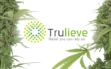 Trulieve’s Financial Triumph: Strong Cash Flow and Sales Surge in Q3 2023