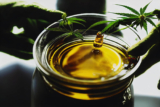 The Best CBD Oil Brands to Buy Online (Reviewed in October 2025)