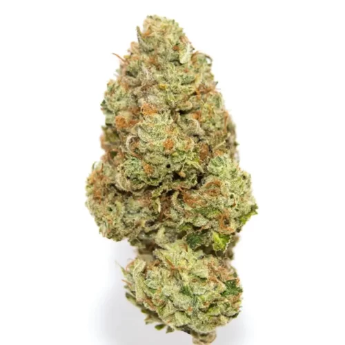 Blueberry CBD