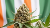 CBD in Ireland: How to Legally Get Cannabidiol?