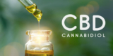 CBD Oil Benefits: What is it Good for According to Sciences