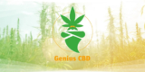 Genius CBD : la marque qui réinvente la consommation responsable de CBD