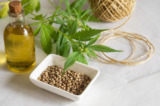 The Weight Loss Potential of Hemp: A Science-Based Guide