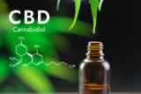 Is CBD a Drug: From Wellness Trend to Regulatory Challenge