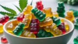 Can You Get CBN Gummies in Canada?