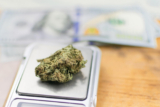 Zip of Weed: What is it and How Much Does It Cost?